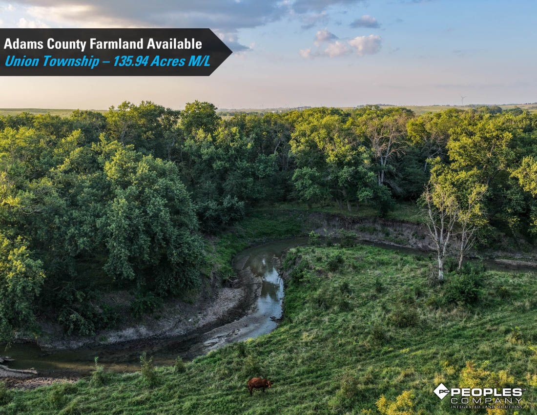 Listing Photo: Adams-County-Iowa-Farmland-Available-136-Acres-Blazek-Estate-19707 (15)